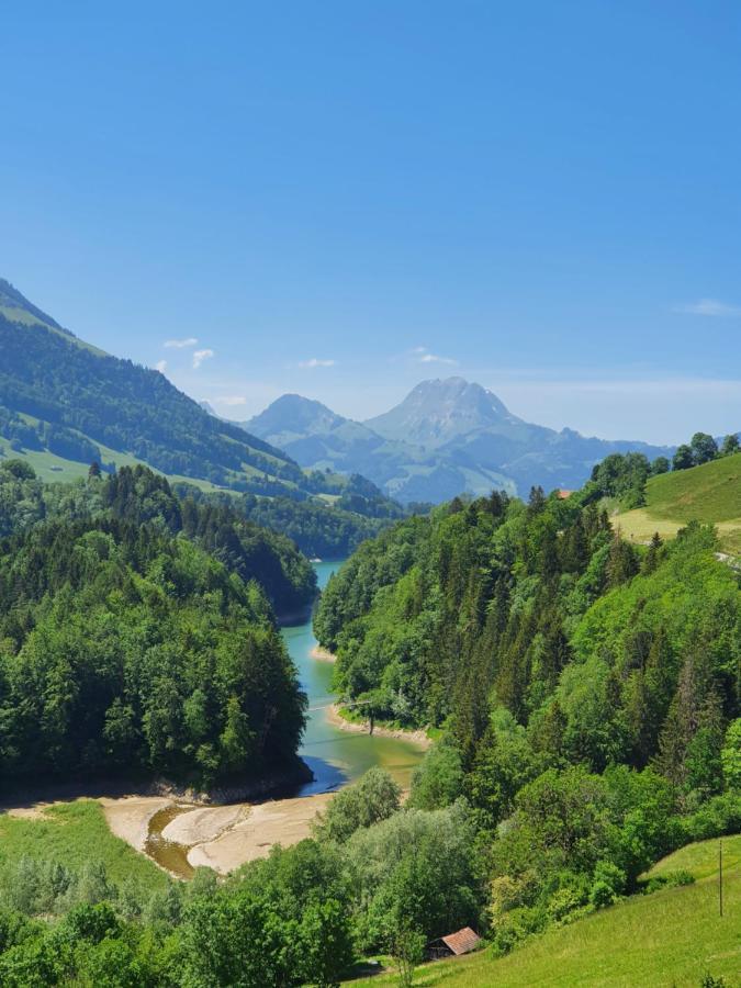 Le Vieux Chalet Cresuz Exteriör bild
